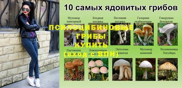 спиды Инсар