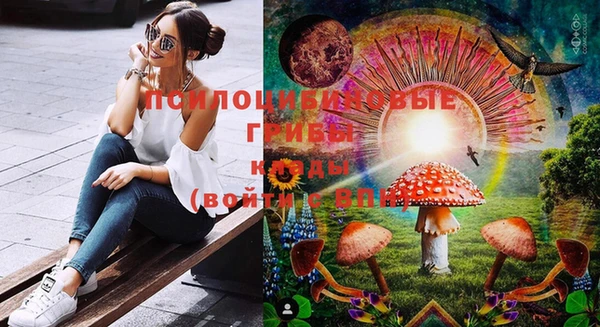 не бодяженный Зерноград