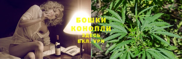 спайс Инта