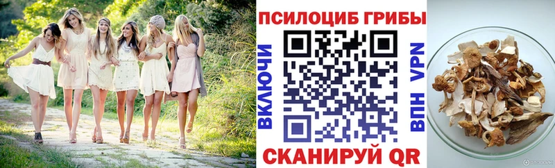 Купить  Буйнакск  Галлюциногенные грибы мицелий 